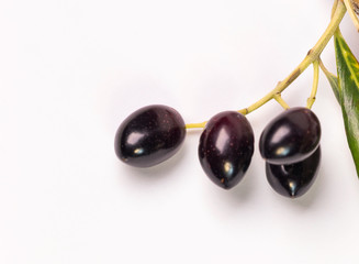 olives ripe  leaf ripe leaves isolated in white background