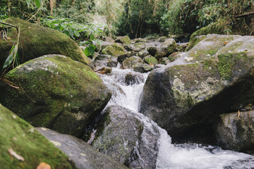 Long exposure of fresh tropical stream