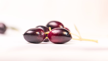 olives ripe  leaf ripe leaves isolated in white background
