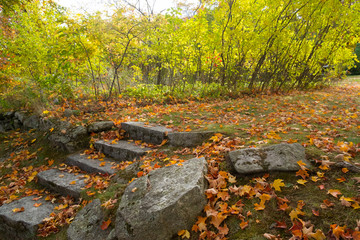Vermont Landscape steps