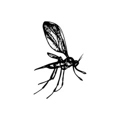 Mosquito Icon