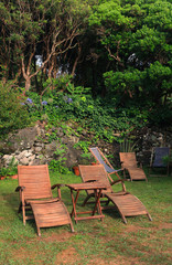 Chaise - longues in the garden