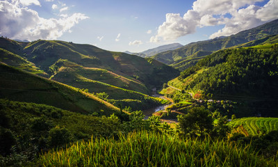 Terraced rice field in Northern Vietnam