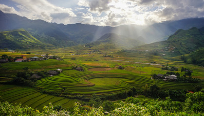 Terraced rice field in Northern Vietnam