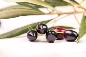 olives ripe  leaf ripe leaves isolated in white background