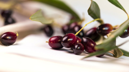 olives ripe  leaf ripe leaves isolated in white background