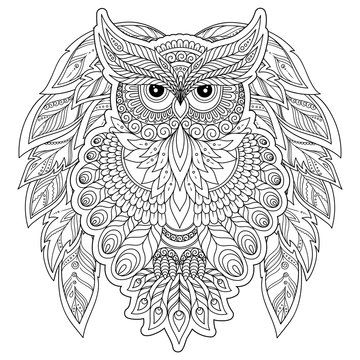  Coloring page with cute owl and floral frame.