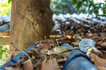 Leaves Fall  and plastic bottle on the roof in school.