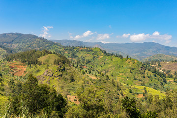 Fototapeta na wymiar Landscape in the Central Province Sri Lanka. Due to the soil fertility and the temperate climate, in the highlands, the widespread growing of tea, vegetables, fruit and flowers is usually
