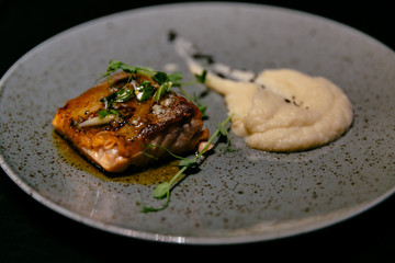Plate of delicious salmon steak with sauce and puree in modern food restaurant.