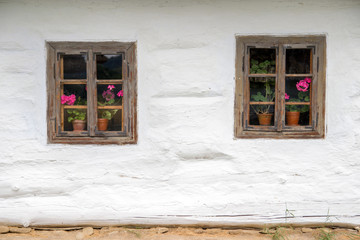 Fototapeta na wymiar Old windows with flowers in historic building