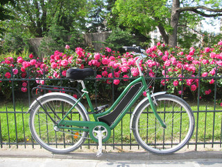 Fototapeta na wymiar Road bike parked along a fence in front of a beautiful Parisian garden with pink roses