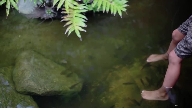 Close up of boy's feet have fish spa in natural pond among jungle. 1920x1080