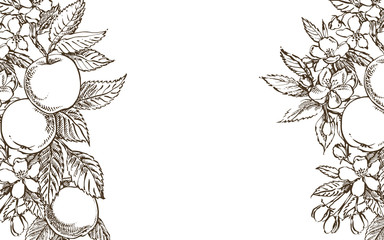 Vector card spring. Black and white blooming branches of apple tree.