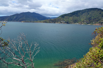 Obraz premium Marlborough Sounds