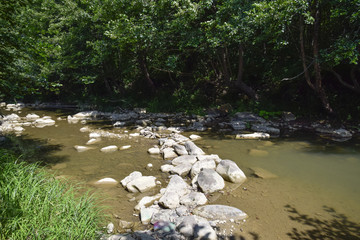 The mountain river. Shallow mountain river, water flows through the rocks. Rocks in the river...