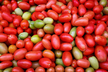Fototapeta na wymiar Red and green tomatos 