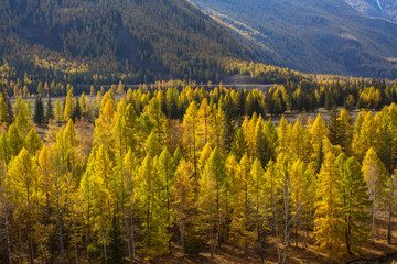 Landscapes of the Mountains in autumn, Altai Republic, Russia.