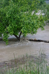 Flooding 