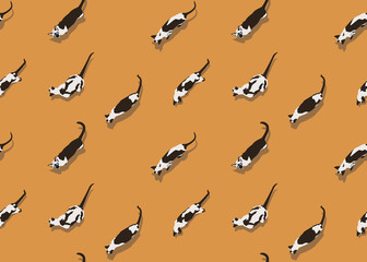 Siamese Cat Pattern Left Sand Big