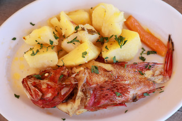 Cooked fresh red scorpionfish sarved with boiled potatoes in the greek tavern.