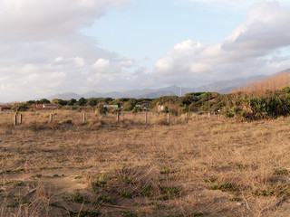 dune sand in forte dei marmi beach