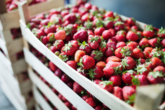 Close-up image of fresh strawberries in crates