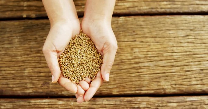 Hands of woman holding coriander seeds over wooden platform 