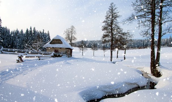 wintry country with cottage, snowfall