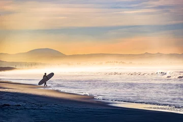 Foto op Plexiglas Entering the Surf on a Foggy Morning © Gloria Moeller