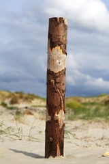 Dühne am Strand von St. Peter-Ording Nordsee 