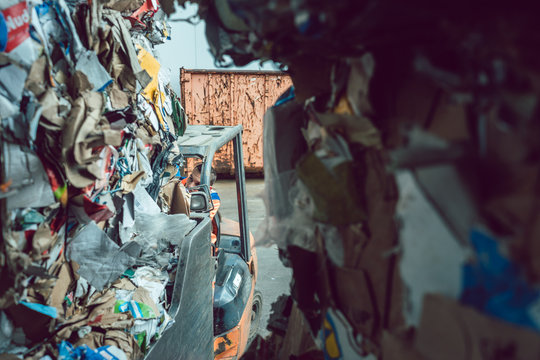 Cardboard and paper having been separated in waste reclamation plant
