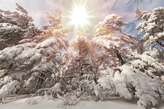 Winter Solstice Photos Royalty Free Images Graphics Vectors Videos Adobe Stock