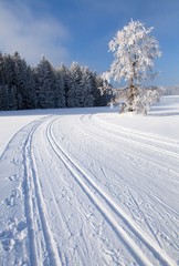 wintry landscape with modified cross country skiing way