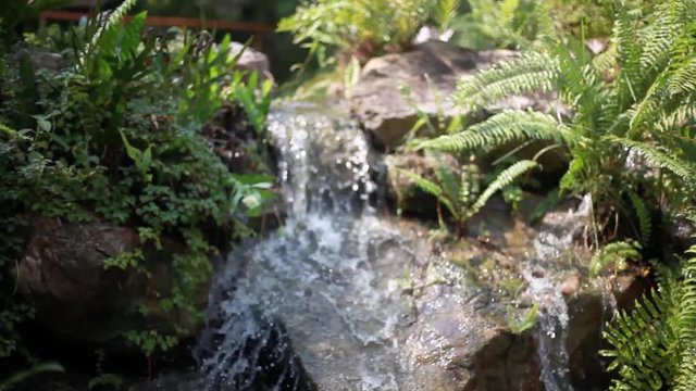 Paradise jungle forest with beautiful waterfall in Thailand. Emerald pond and exotic plants. 1920x1080