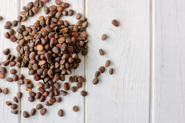 Heap of fresh and ripe pine nuts over white wooden table.