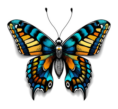 Beautiful tattoo for your chest. Blue Machaon butterfly. Tropical realistic butterfly with shadow. Female symbol