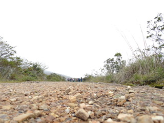 camino de paramo