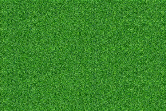 Green gruss texture