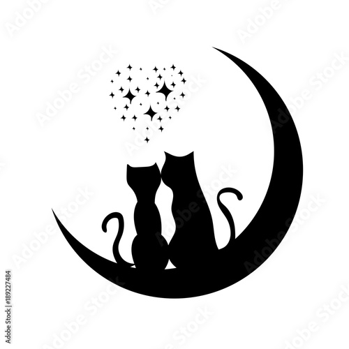 küçük kedi çizimi