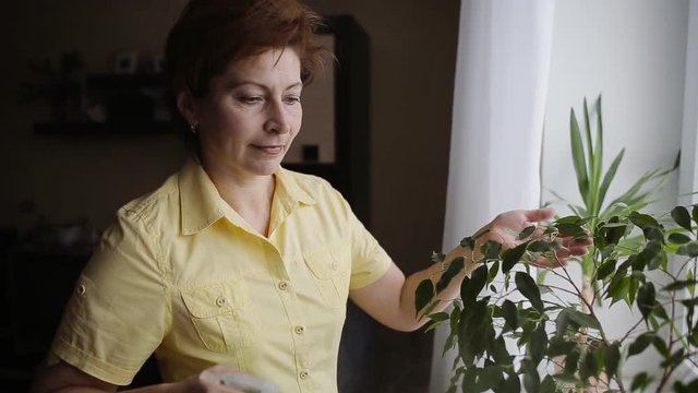 Women spraying water on indoor house plant