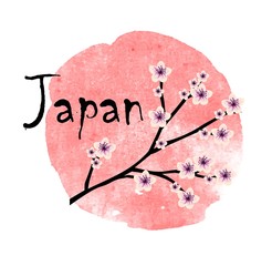 Beautiful illustration of Japanese cherry blossom over the red watercolor background vector