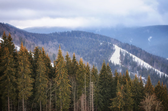 Fototapeta Panorama of the Carpathian mountains in winter