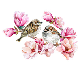 Obrazy  Ptaki wróbli siedzących na kwitnącej wiosennej gałęzi różowej magnolii. Różowe kwiaty na białym tle. Ilustracja Akwarela. Szablon. Karta