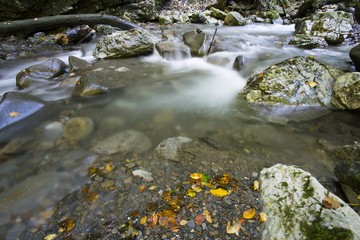 Curak creek in Gorski kotar, Croatia