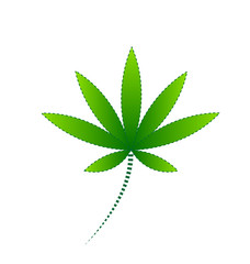 Cannabis green leaf vector