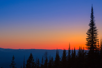 Montana Sunset 