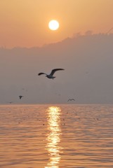 Sunset in Bosphorus
