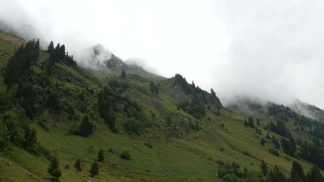 disturbing mists on a rocky slope - brumes inqui&eacute;tantes sur une pente rocheuse