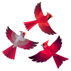 Stylized Birds - Northern, Desert and Vermilion Cardinals